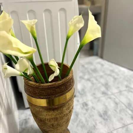 Апартаменти Blago Star Center *