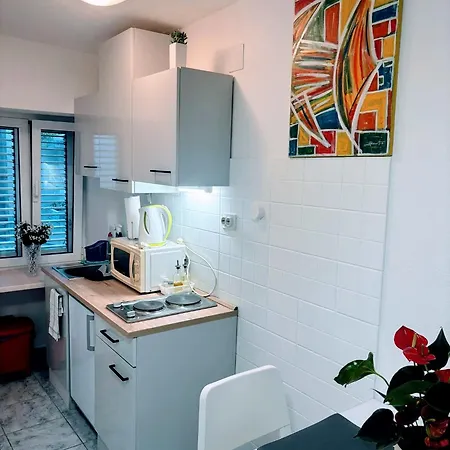 Blago Star Center Apartament