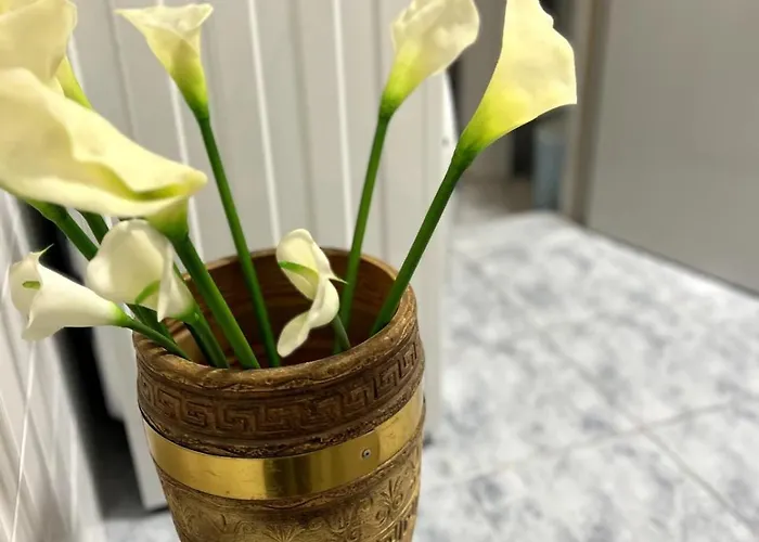 Appartement Blago Star Center *