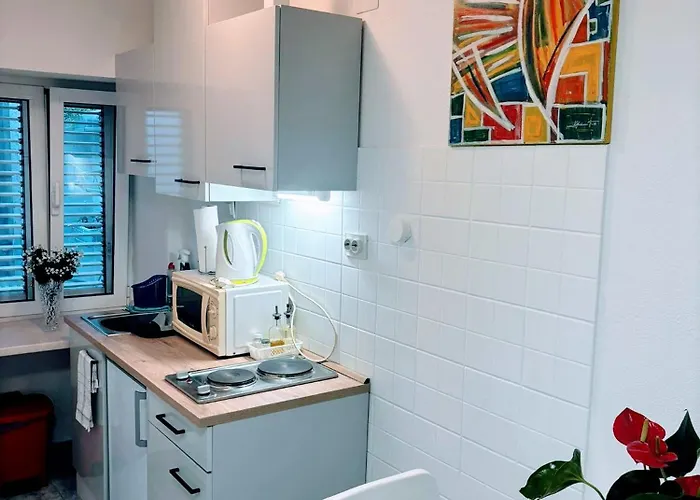 Blago Star Center Appartement